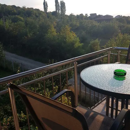 Ileana Gæstehus Sapareva Banya