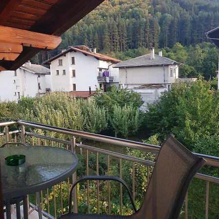 Guest house Ileana *