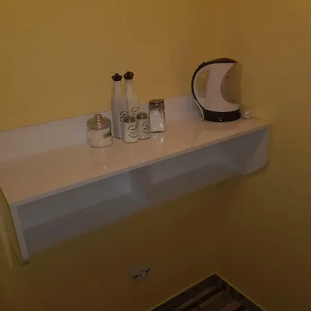 Ileana Guest house *