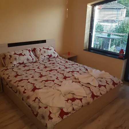 Ileana Guest house *